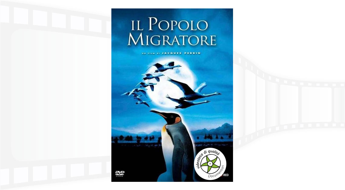 Copertina del DVD Il popolo migratore