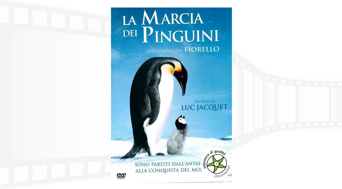 Copertina del DVD La marcia dei pinguini